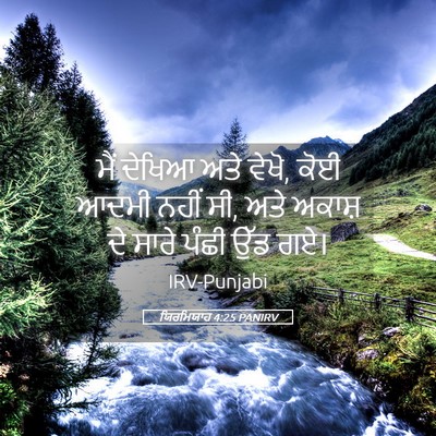 Picture 05 - ਯਿਰਮਿਯਾਹ 4:25 PANIRV - ਮੈਂ ਦੇਖਿਆ ਅਤੇ ਵੇਖੋ, - Bible Verse Picture