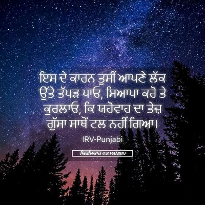 Picture 05 - ਯਿਰਮਿਯਾਹ 4:8 PANIRV - ਇਸ ਦੇ ਕਾਰਨ ਤੁਸੀਂ - Bible Verse Picture