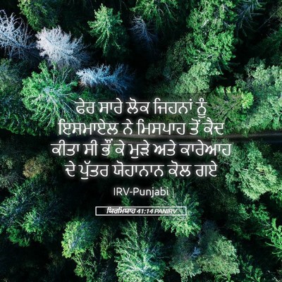 Picture 05 - ਯਿਰਮਿਯਾਹ 41:14 PANIRV - ਫੇਰ ਸਾਰੇ ਲੋਕ - Bible Verse Picture