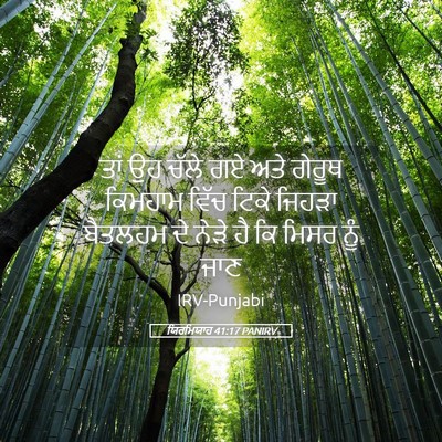 Picture 05 - ਯਿਰਮਿਯਾਹ 41:17 PANIRV - ਤਾਂ ਉਹ ਚੱਲੇ ਗਏ ਅਤੇ - Bible Verse Picture