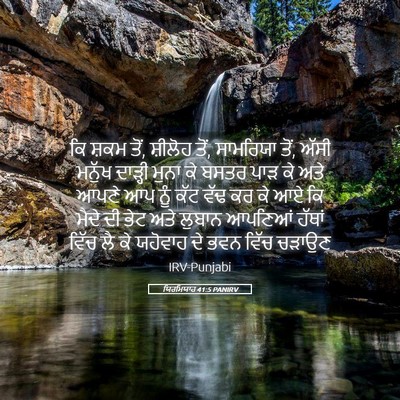 Picture 05 - ਯਿਰਮਿਯਾਹ 41:5 PANIRV - ਕਿ ਸ਼ਕਮ ਤੋਂ, ਸ਼ੀਲੋਹ - Bible Verse Picture