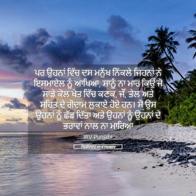 Picture 05 - ਯਿਰਮਿਯਾਹ 41:8 PANIRV - ਪਰ ਉਹਨਾਂ ਵਿੱਚ ਦਸ - Bible Verse Picture