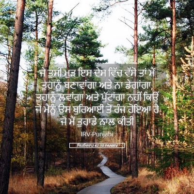 Picture 05 - ਯਿਰਮਿਯਾਹ 42:10 PANIRV - ਜੇ ਤੁਸੀਂ ਮੁੜ ਇਸ ਦੇਸ - Bible Verse Picture