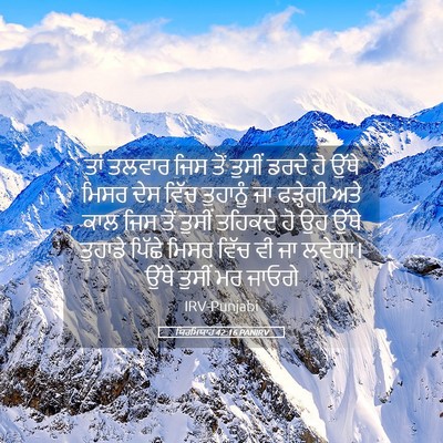 Picture 05 - ਯਿਰਮਿਯਾਹ 42:16 PANIRV - ਤਾਂ ਤਲਵਾਰ ਜਿਸ ਤੋਂ - Bible Verse Picture