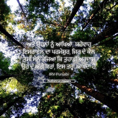 Picture 05 - ਯਿਰਮਿਯਾਹ 42:9 PANIRV - ਅਤੇ ਉਹਨਾਂ ਨੂੰ ਆਖਿਆ, - Bible Verse Picture