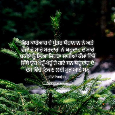 Picture 05 - ਯਿਰਮਿਯਾਹ 43:5 PANIRV - ਫਿਰ ਕਾਰੇਆਹ ਦੇ - Bible Verse Picture