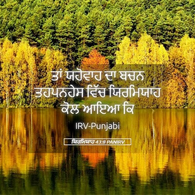 Picture 05 - ਯਿਰਮਿਯਾਹ 43:8 PANIRV - ਤਾਂ ਯਹੋਵਾਹ ਦਾ ਬਚਨ - Bible Verse Picture