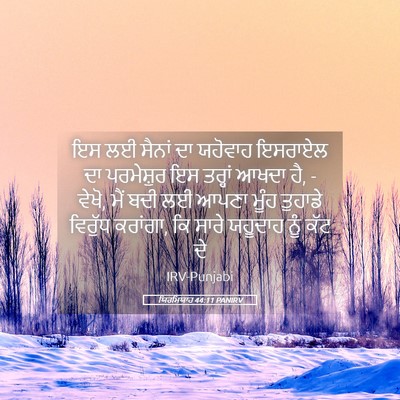 Picture 05 - ਯਿਰਮਿਯਾਹ 44:11 PANIRV - ਇਸ ਲਈ ਸੈਨਾਂ ਦਾ - Bible Verse Picture
