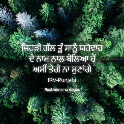 Picture 05 - ਯਿਰਮਿਯਾਹ 44:16 PANIRV - ਜਿਹੜੀ ਗੱਲ ਤੂੰ - Bible Verse Picture