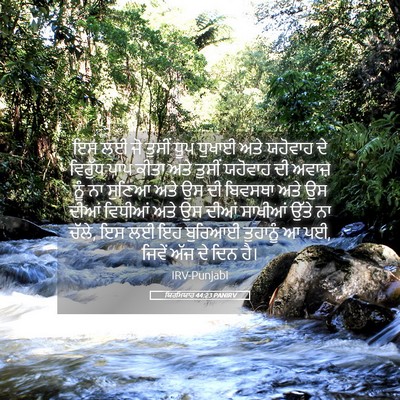 Picture 05 - ਯਿਰਮਿਯਾਹ 44:23 PANIRV - ਇਸ ਲਈ ਜੋ ਤੁਸੀਂ ਧੂਪ - Bible Verse Picture