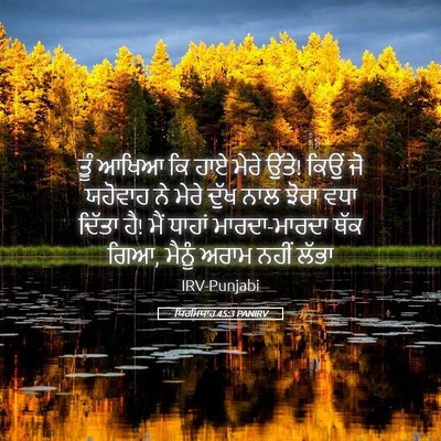 Picture 05 - ਯਿਰਮਿਯਾਹ 45:3 PANIRV - ਤੂੰ ਆਖਿਆ ਕਿ ਹਾਏ - Bible Verse Picture