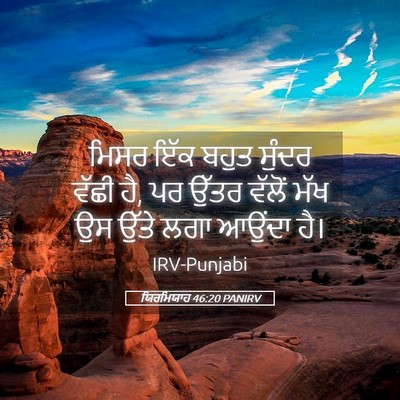 Picture 05 - ਯਿਰਮਿਯਾਹ 46:20 PANIRV - ਮਿਸਰ ਇੱਕ ਬਹੁਤ - Bible Verse Picture