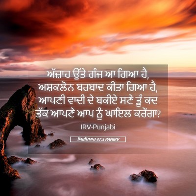 Picture 05 - ਯਿਰਮਿਯਾਹ 47:5 PANIRV - ਅੱਜ਼ਾਹ ਉੱਤੇ ਗੰਜ ਆ - Bible Verse Picture