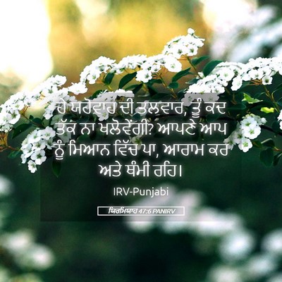 Picture 05 - ਯਿਰਮਿਯਾਹ 47:6 PANIRV - ਹੇ ਯਹੋਵਾਹ ਦੀ ਤਲਵਾਰ, - Bible Verse Picture