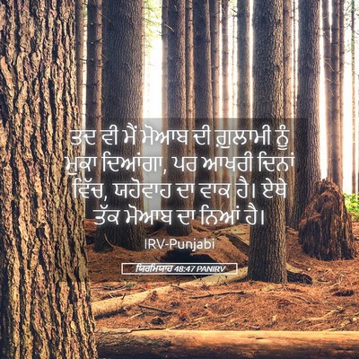 Picture 05 - ਯਿਰਮਿਯਾਹ 48:47 PANIRV - ਤਦ ਵੀ ਮੈਂ ਮੋਆਬ ਦੀ - Bible Verse Picture