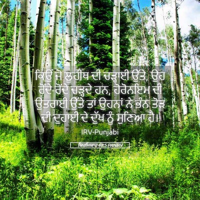 Picture 05 - ਯਿਰਮਿਯਾਹ 48:5 PANIRV - ਕਿਉਂ ਜੋ ਲੂਹੀਥ ਦੀ - Bible Verse Picture