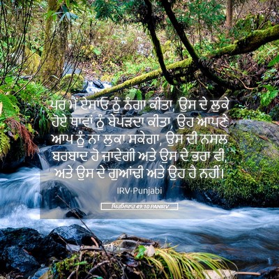 Picture 05 - ਯਿਰਮਿਯਾਹ 49:10 PANIRV - ਪਰ ਮੈਂ ਏਸਾਓ ਨੂੰ - Bible Verse Picture