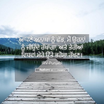 Picture 05 - ਯਿਰਮਿਯਾਹ 49:11 PANIRV - ਆਪਣੇ ਅਨਾਥਾਂ ਨੂੰ - Bible Verse Picture