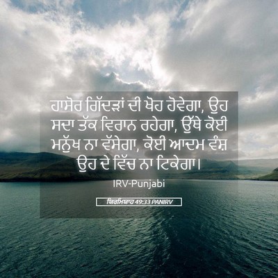 Picture 05 - ਯਿਰਮਿਯਾਹ 49:33 PANIRV - ਹਾਸੋਰ ਗਿੱਦੜਾਂ ਦੀ - Bible Verse Picture