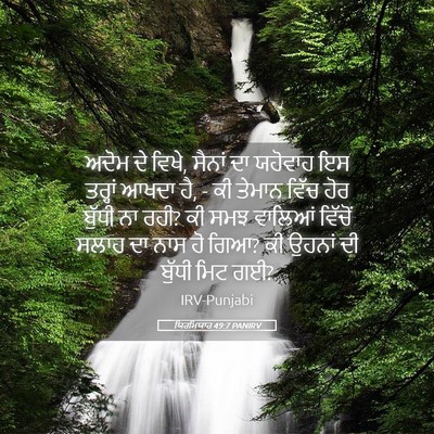 Picture 05 - ਯਿਰਮਿਯਾਹ 49:7 PANIRV - ਅਦੋਮ ਦੇ ਵਿਖੇ, ਸੈਨਾਂ - Bible Verse Picture