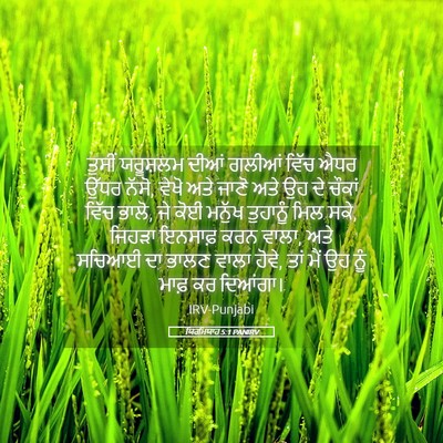 Picture 05 - ਯਿਰਮਿਯਾਹ 5:1 PANIRV - ਤੁਸੀਂ ਯਰੂਸ਼ਲਮ - Bible Verse Picture