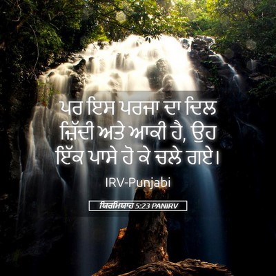 Picture 05 - ਯਿਰਮਿਯਾਹ 5:23 PANIRV - ਪਰ ਇਸ ਪਰਜਾ ਦਾ ਦਿਲ - Bible Verse Picture