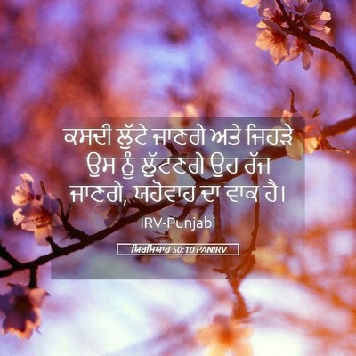 Picture 05 - ਯਿਰਮਿਯਾਹ 50:10 PANIRV - ਕਸਦੀ ਲੁੱਟੇ ਜਾਣਗੇ - Bible Verse Picture