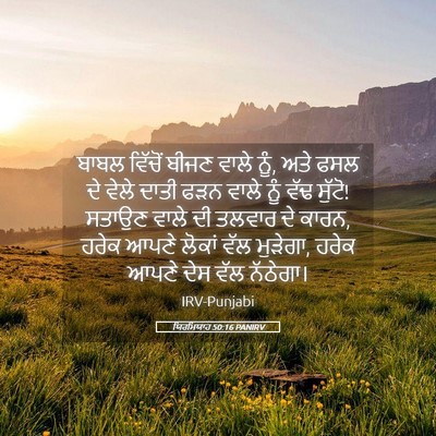 Picture 05 - ਯਿਰਮਿਯਾਹ 50:16 PANIRV - ਬਾਬਲ ਵਿੱਚੋਂ ਬੀਜਣ - Bible Verse Picture