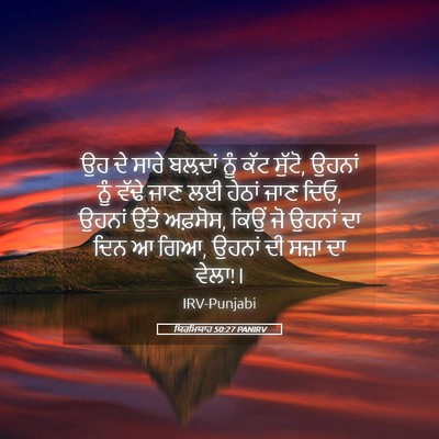 Picture 05 - ਯਿਰਮਿਯਾਹ 50:27 PANIRV - ਉਹ ਦੇ ਸਾਰੇ ਬਲ਼ਦਾਂ - Bible Verse Picture
