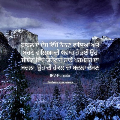 Picture 05 - ਯਿਰਮਿਯਾਹ 50:28 PANIRV - ਬਾਬਲ ਦੇ ਦੇਸ ਵਿੱਚੋਂ - Bible Verse Picture