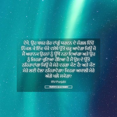 Picture 05 - ਯਿਰਮਿਯਾਹ 50:44 PANIRV - ਵੇਖੋ, ਉਹ ਬਬਰ ਸ਼ੇਰ - Bible Verse Picture
