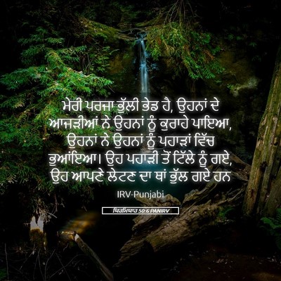 Picture 05 - ਯਿਰਮਿਯਾਹ 50:6 PANIRV - ਮੇਰੀ ਪਰਜਾ ਭੁੱਲੀ - Bible Verse Picture