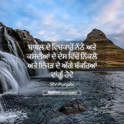 Picture 05 - ਯਿਰਮਿਯਾਹ 50:8 PANIRV - ਬਾਬਲ ਦੇ ਵਿਚਕਾਰੋਂ - Bible Verse Picture