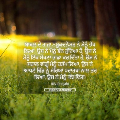 Picture 05 - ਯਿਰਮਿਯਾਹ 51:34 PANIRV - ਬਾਬਲ ਦੇ ਰਾਜਾ - Bible Verse Picture