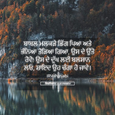 Picture 05 - ਯਿਰਮਿਯਾਹ 51:8 PANIRV - ਬਾਬਲ ਮਲਕੜੇ ਡਿੱਗ - Bible Verse Picture