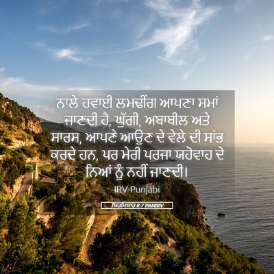 Picture 05 - ਯਿਰਮਿਯਾਹ 8:7 PANIRV - ਨਾਲੇ ਹਵਾਈ ਲਮਢੀਂਗ - Bible Verse Picture