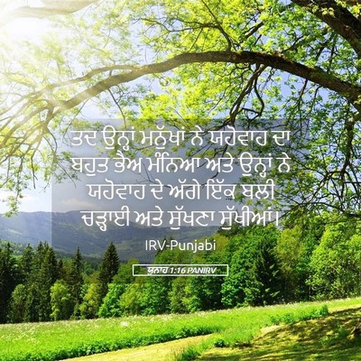 Picture 05 - ਯੂਨਾਹ 1:16 PANIRV - ਤਦ ਉਨ੍ਹਾਂ ਮਨੁੱਖਾਂ - Bible Verse Picture