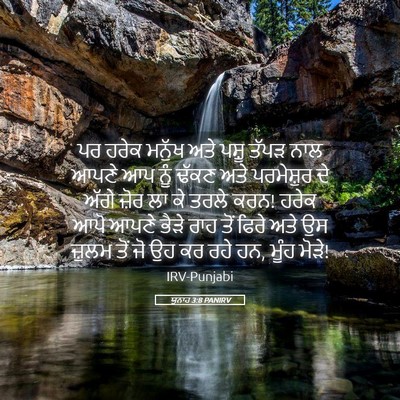 Picture 05 - ਯੂਨਾਹ 3:8 PANIRV - ਪਰ ਹਰੇਕ ਮਨੁੱਖ ਅਤੇ - Bible Verse Picture