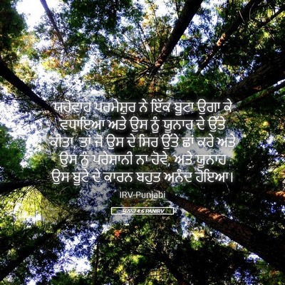 Picture 05 - ਯੂਨਾਹ 4:6 PANIRV - ਯਹੋਵਾਹ ਪਰਮੇਸ਼ੁਰ - Bible Verse Picture