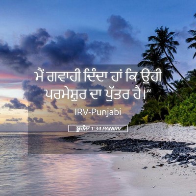 Picture 05 - ਯੂਹੰਨਾ 1:34 PANIRV - ਮੈਂ ਗਵਾਹੀ ਦਿੰਦਾ - Bible Verse Picture