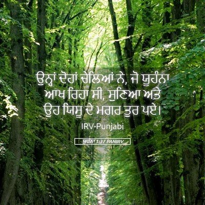 Picture 05 - ਯੂਹੰਨਾ 1:37 PANIRV - ਉਨ੍ਹਾਂ ਦੋਹਾਂ - Bible Verse Picture
