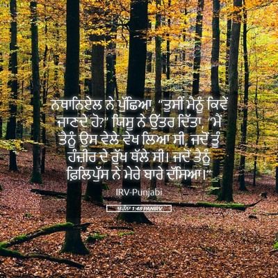Picture 05 - ਯੂਹੰਨਾ 1:48 PANIRV - ਨਥਾਨਿਏਲ ਨੇ ਪੁੱਛਿਆ, - Bible Verse Picture