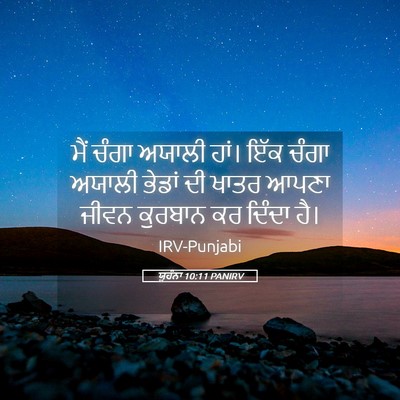 Picture 05 - ਯੂਹੰਨਾ 10:11 PANIRV - ਮੈਂ ਚੰਗਾ ਅਯਾਲੀ - Bible Verse Picture