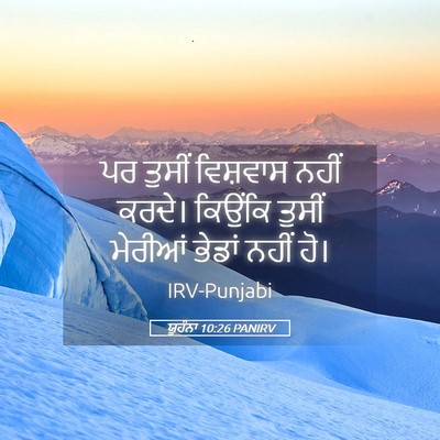 Picture 05 - ਯੂਹੰਨਾ 10:26 PANIRV - ਪਰ ਤੁਸੀਂ ਵਿਸ਼ਵਾਸ - Bible Verse Picture