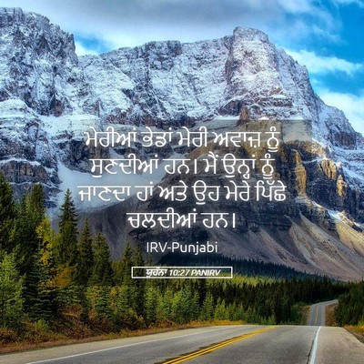 Picture 05 - ਯੂਹੰਨਾ 10:27 PANIRV - ਮੇਰੀਆਂ ਭੇਡਾਂ ਮੇਰੀ - Bible Verse Picture