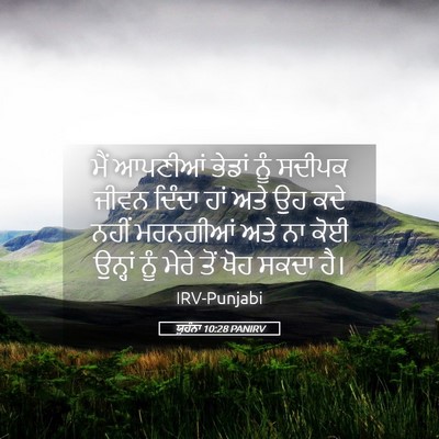 Picture 05 - ਯੂਹੰਨਾ 10:28 PANIRV - ਮੈਂ ਆਪਣੀਆਂ ਭੇਡਾਂ - Bible Verse Picture