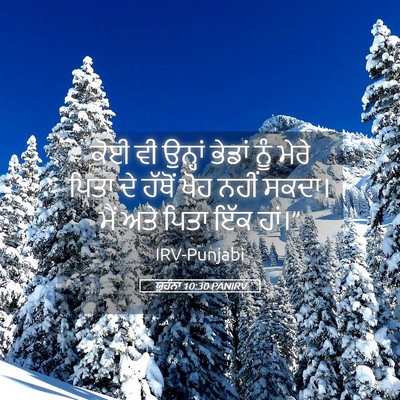 Picture 05 - ਯੂਹੰਨਾ 10:30 PANIRV - ਕੋਈ ਵੀ ਉਨ੍ਹਾਂ - Bible Verse Picture