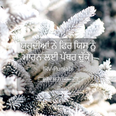 Picture 05 - ਯੂਹੰਨਾ 10:31 PANIRV - ਯਹੂਦੀਆਂ ਨੇ ਫਿਰ - Bible Verse Picture
