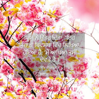 Picture 05 - ਯੂਹੰਨਾ 10:34 PANIRV - ਯਿਸੂ ਨੇ ਉੱਤਰ ਦਿੱਤਾ, - Bible Verse Picture