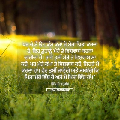 Picture 05 - ਯੂਹੰਨਾ 10:38 PANIRV - ਪਰ ਜੇ ਮੈਂ ਉਹ ਕੰਮ - Bible Verse Picture